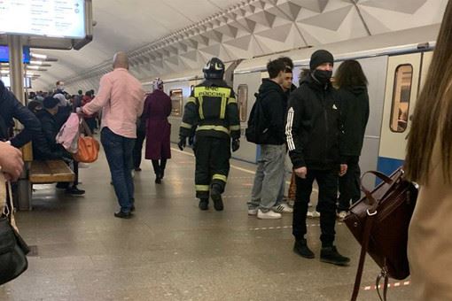 Движение поездов на серой ветке московского метро восстановлено после падения пассажира