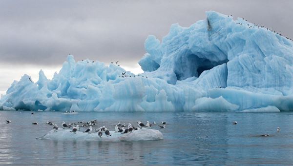 "Роснефть" запланировала три экспедиции на новом этапе арктических исследований