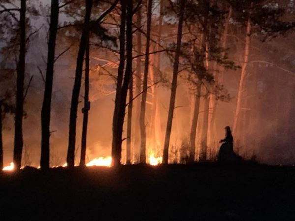 В выходные в Минской области горели 15 районов. Пострадавших нет